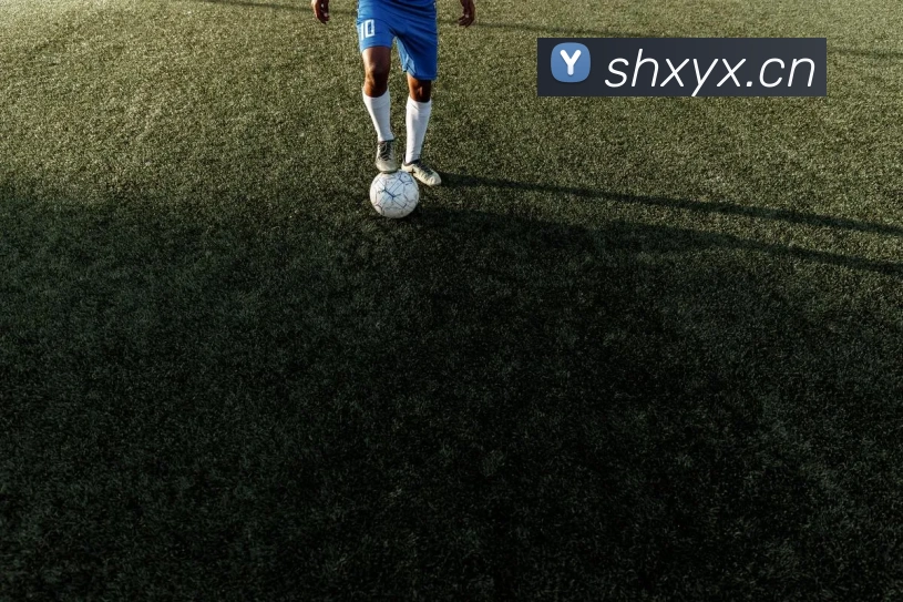 开云app网站登录APP 体育赛事宣传图